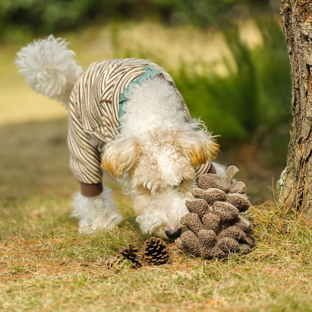 Pomme de pin - Chewffon