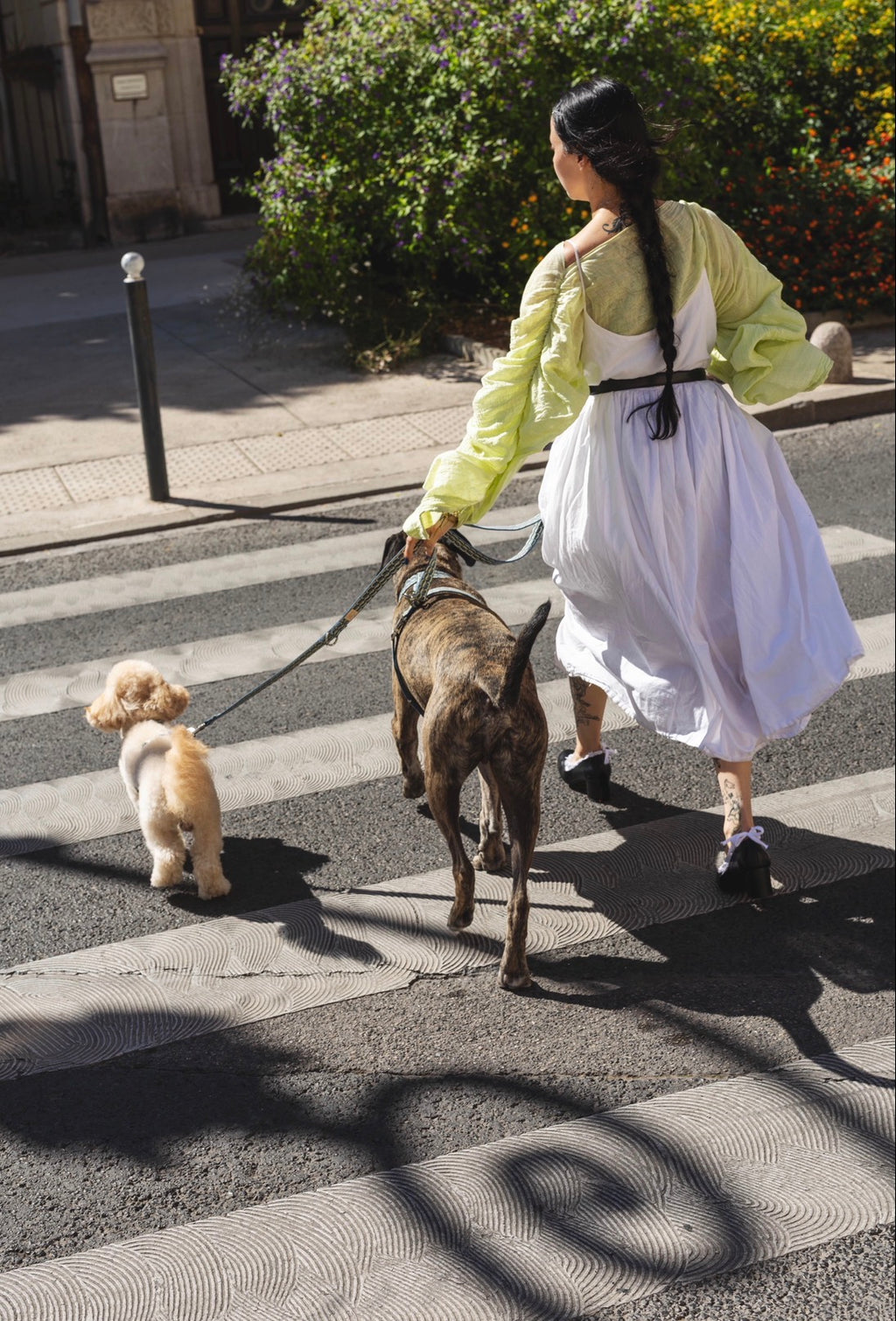Laisse simple Jeanny - Chez Eddy