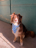 Bandana Gaspard - Chez Eddy