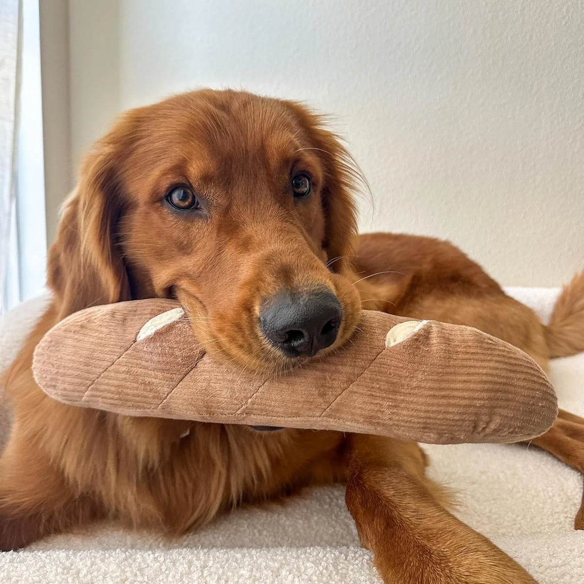 Baguette - Chewffon