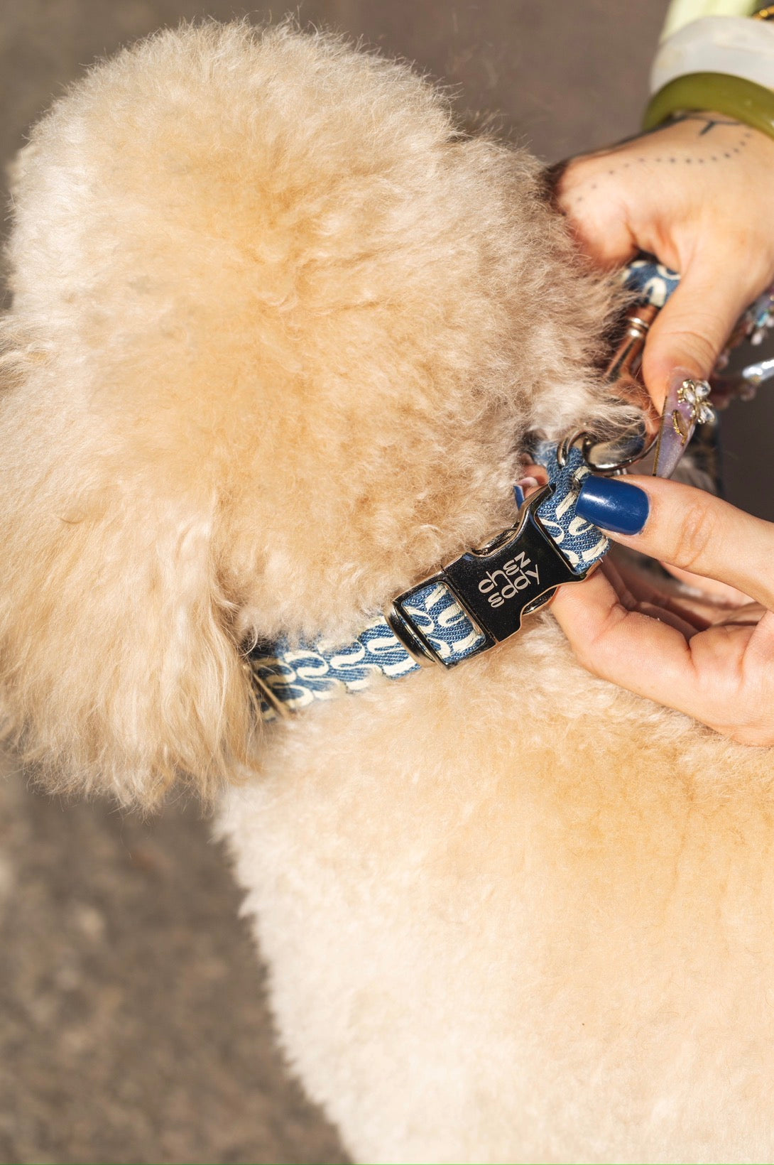 Collier Jeanny - Chez Eddy