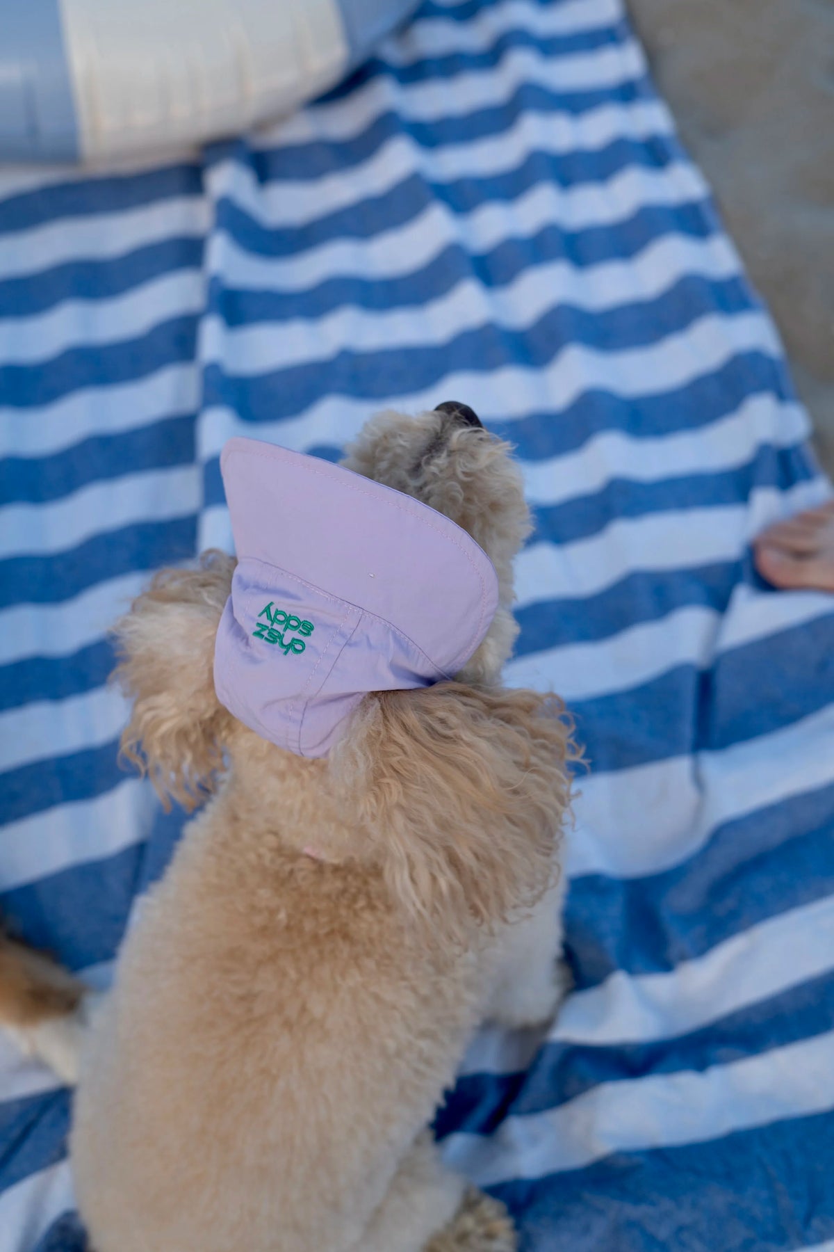 Casquette anti-uv Lilas - Chez Eddy