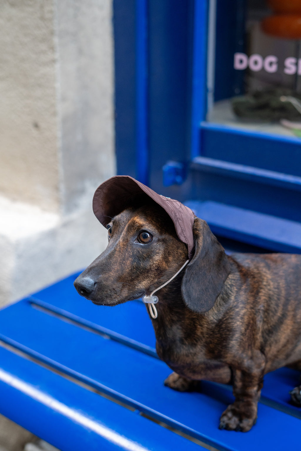 Casquette anti-uv Marron - Chez Eddy