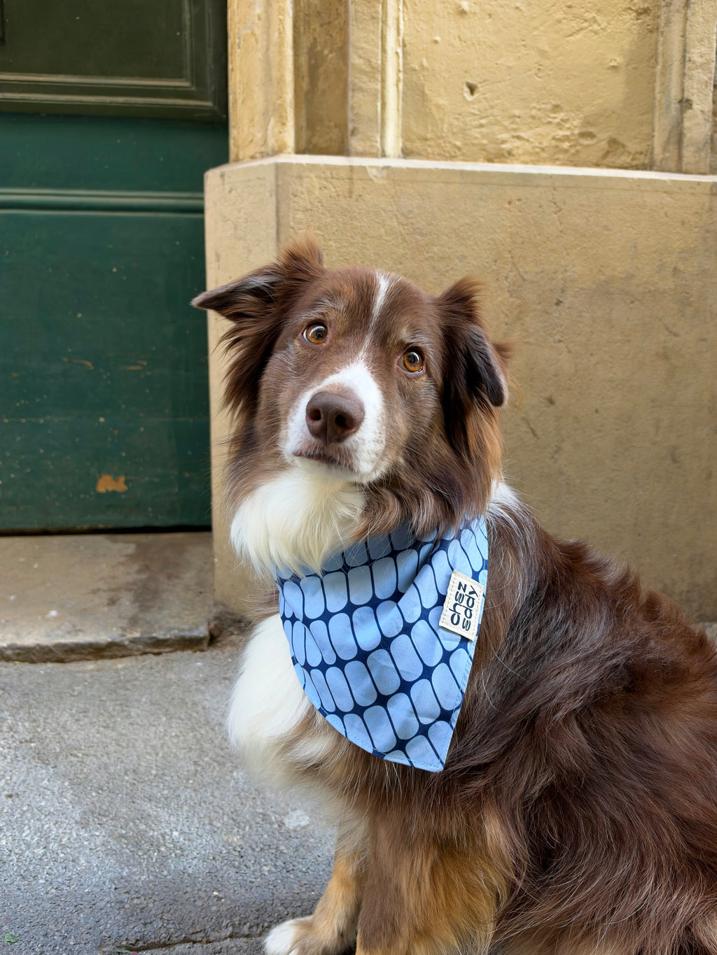 Bandana Gaspard - Chez Eddy
