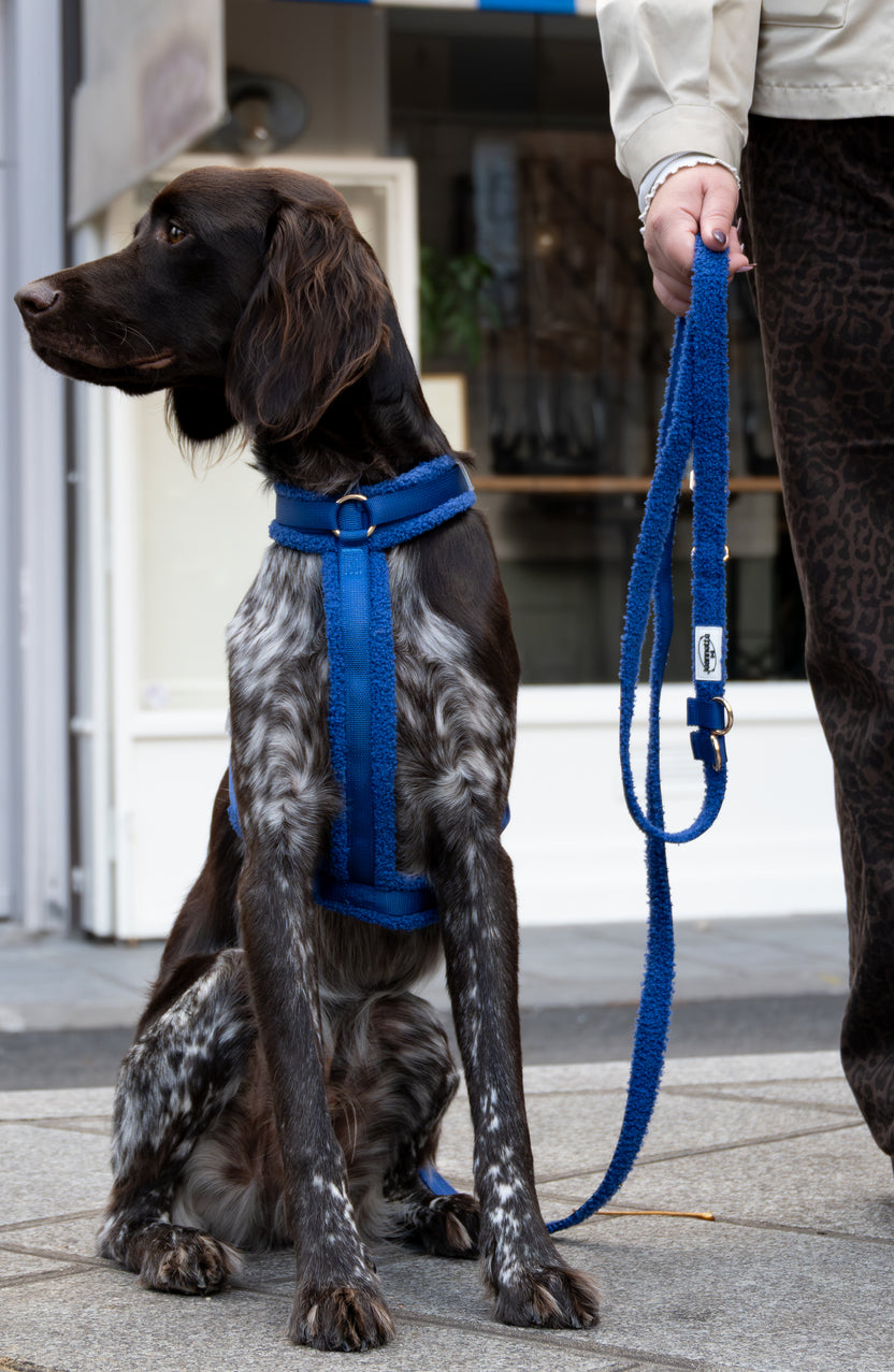 Harnais Georges Bleu - Jeannette