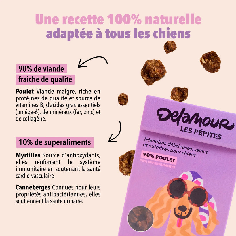 Les pépites Poulet - Delamour