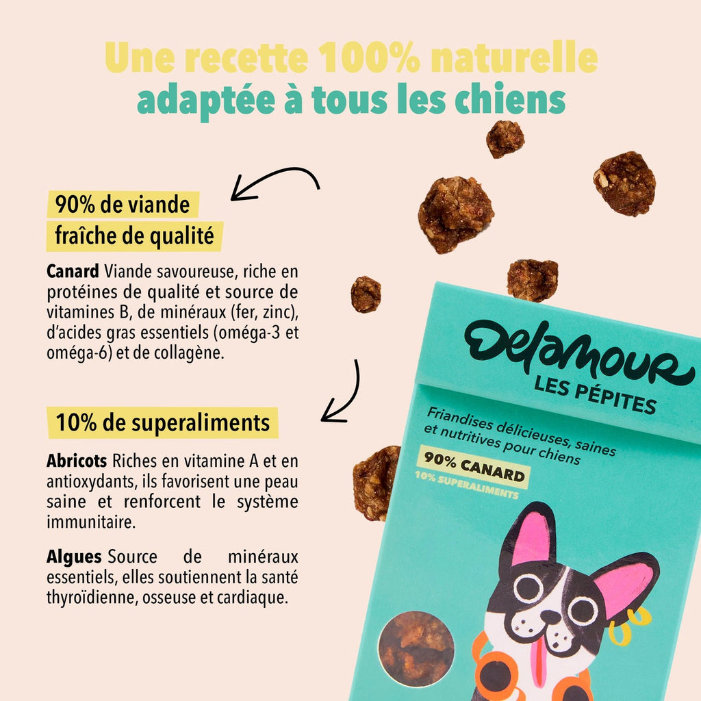 Pépite canard - Delamour