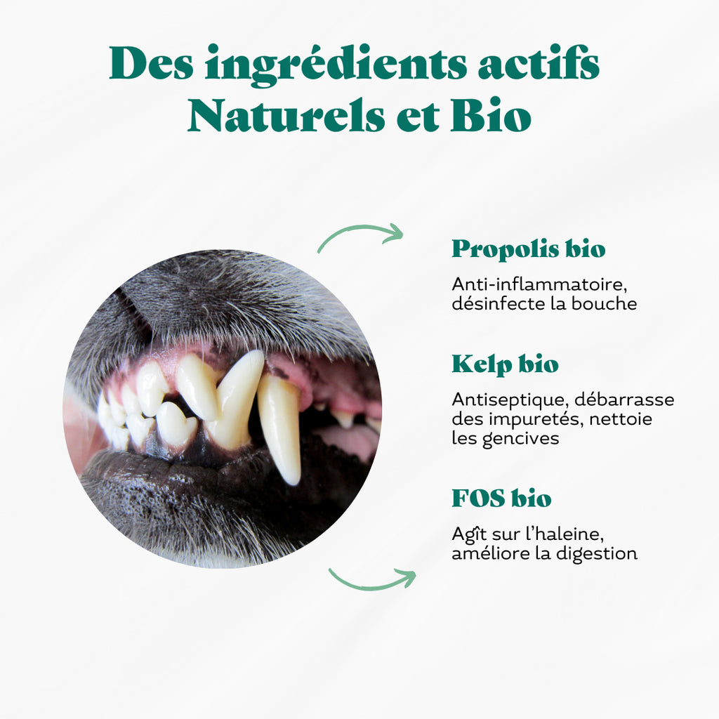 Soin dentaire - Naturopet