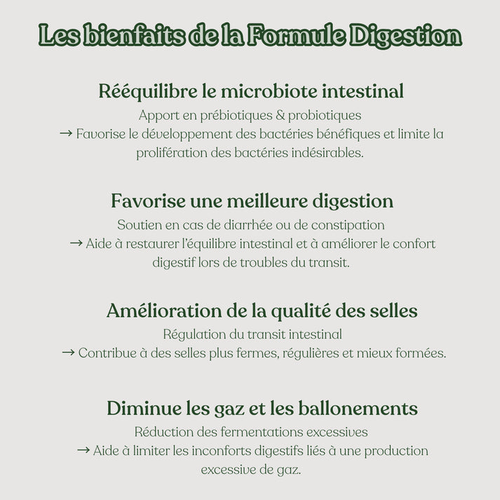 Complément Digestion - Weloca