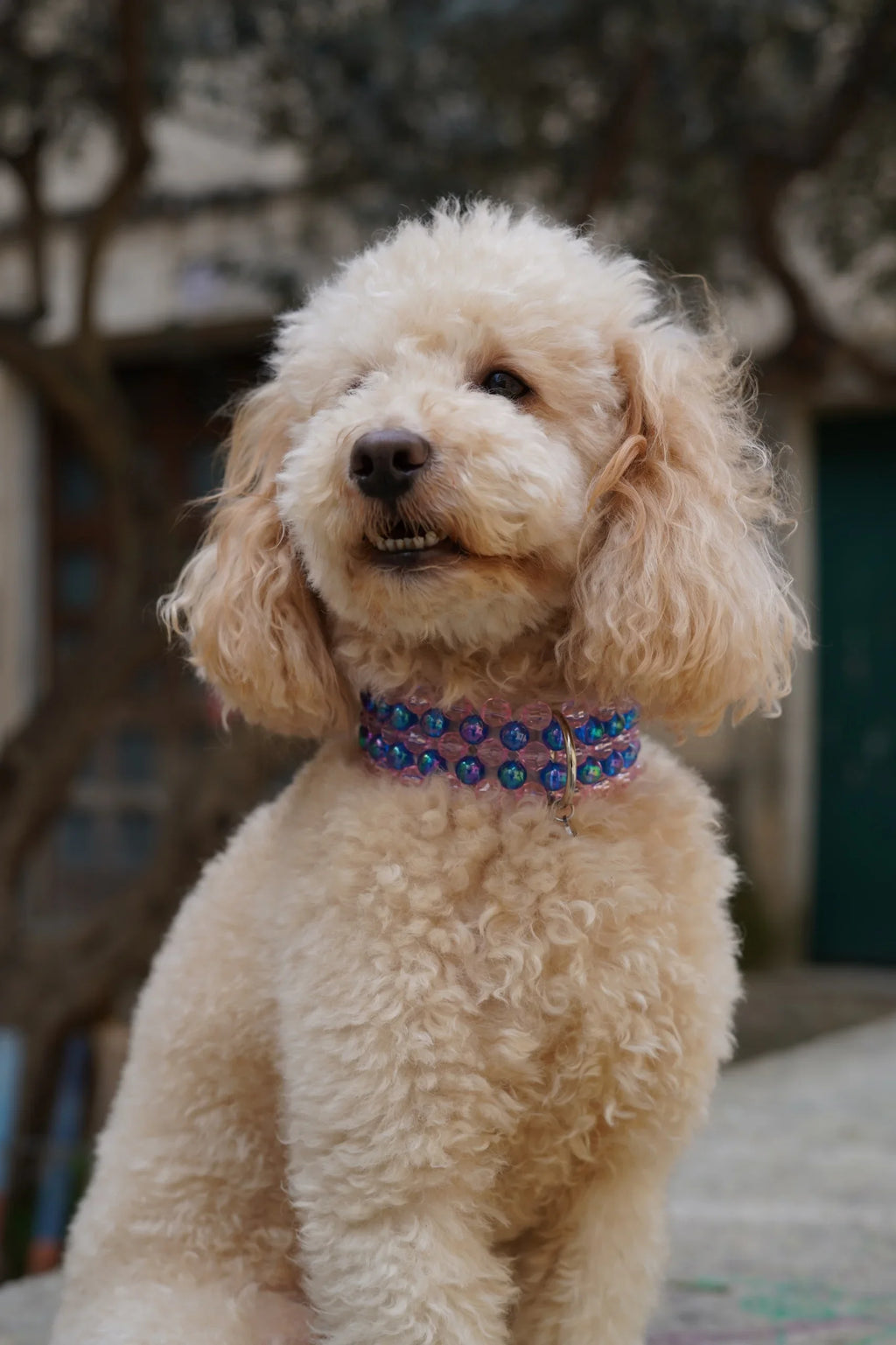 Collier perles bleu & rose - Chez Eddy x Ninidogs