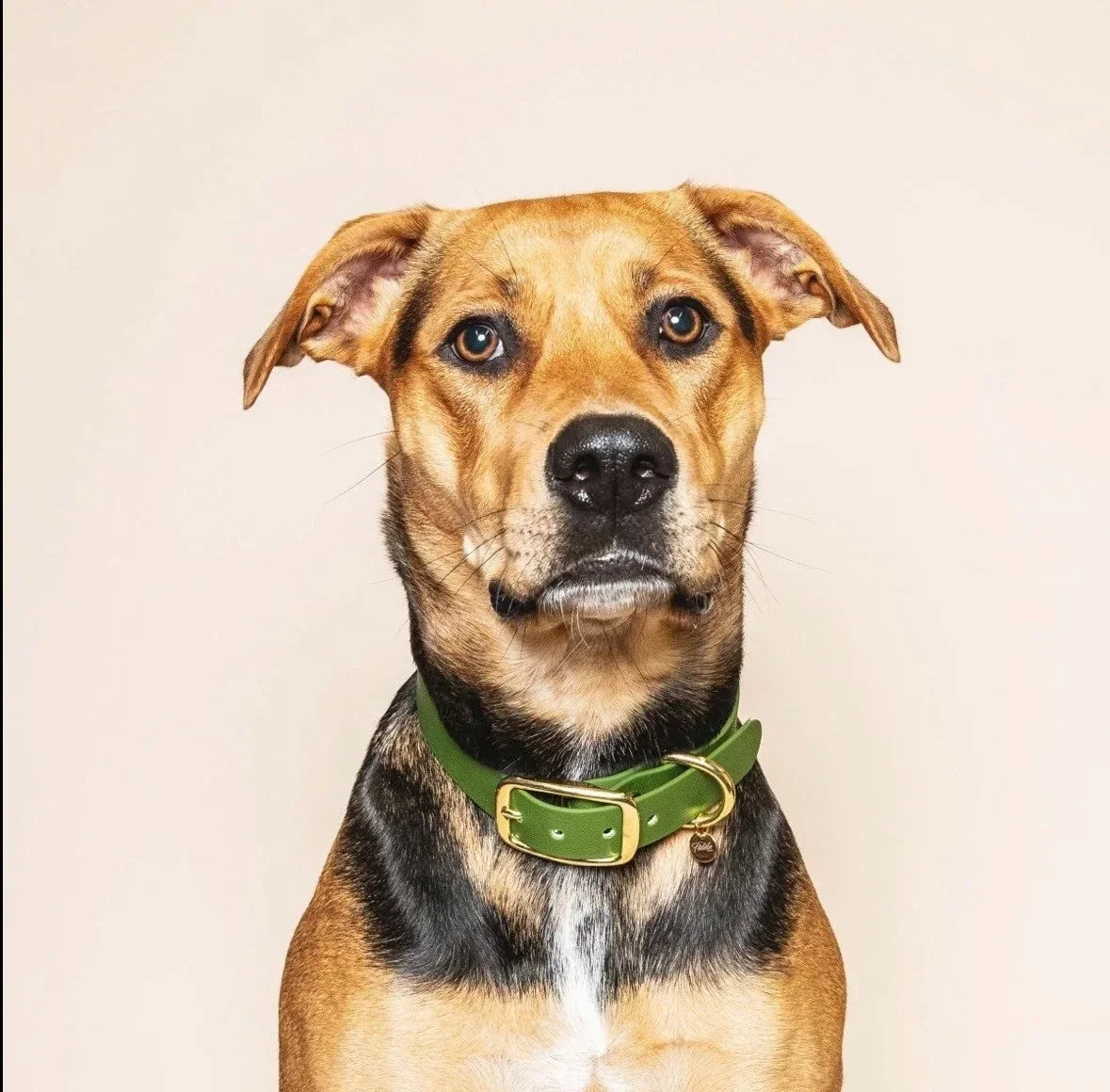 Collier vert olive- Fidèle Paris