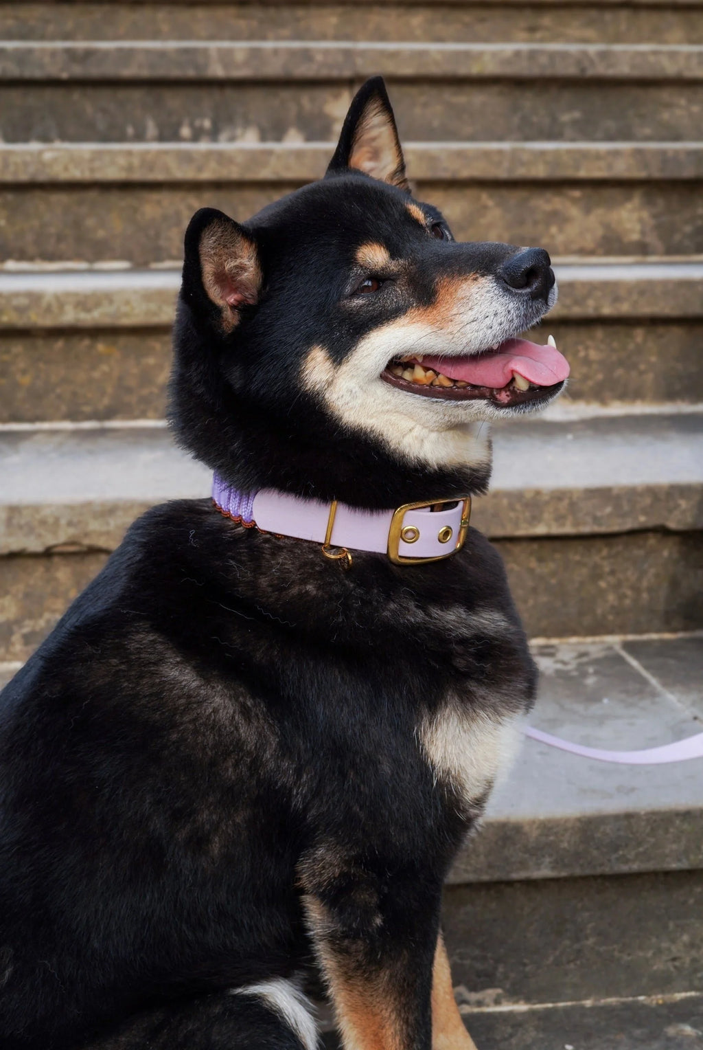 Collier tressé Lilas - Pli Paris x Chez Eddy