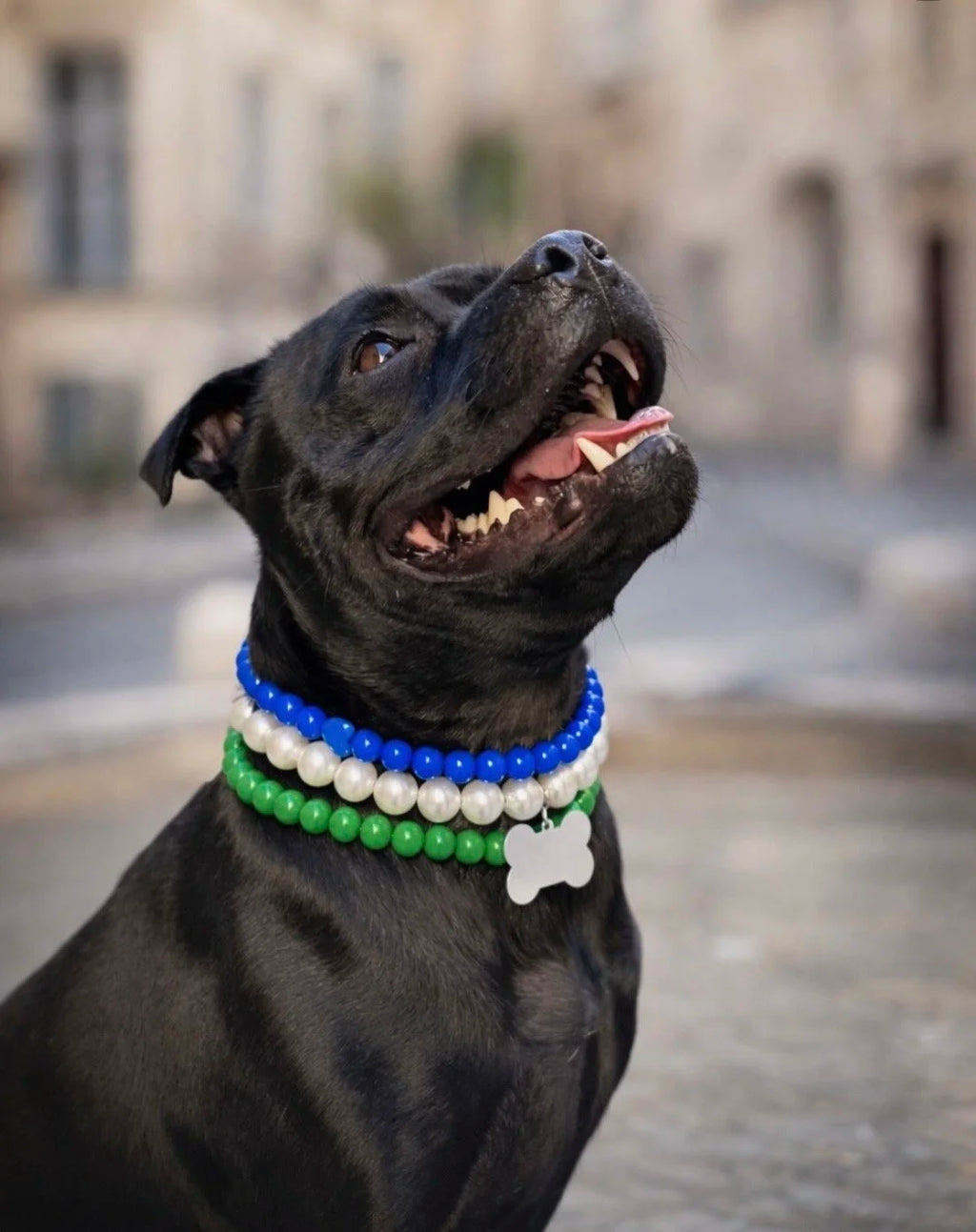 Collier de perle Bleu - Shaïke & Co