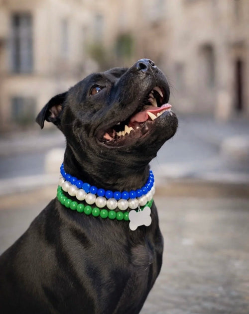 Collier de perle Bleu - Shaïke & Co