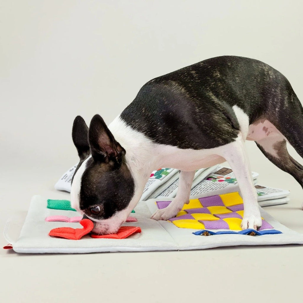 Journal de fouille - The furry Folks