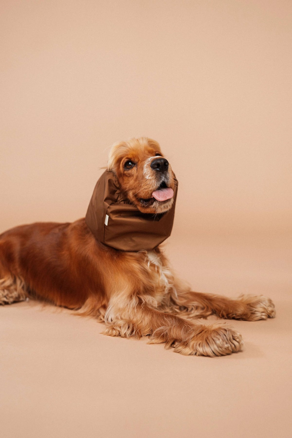 Snood imperméable Marron  - Lou and Co