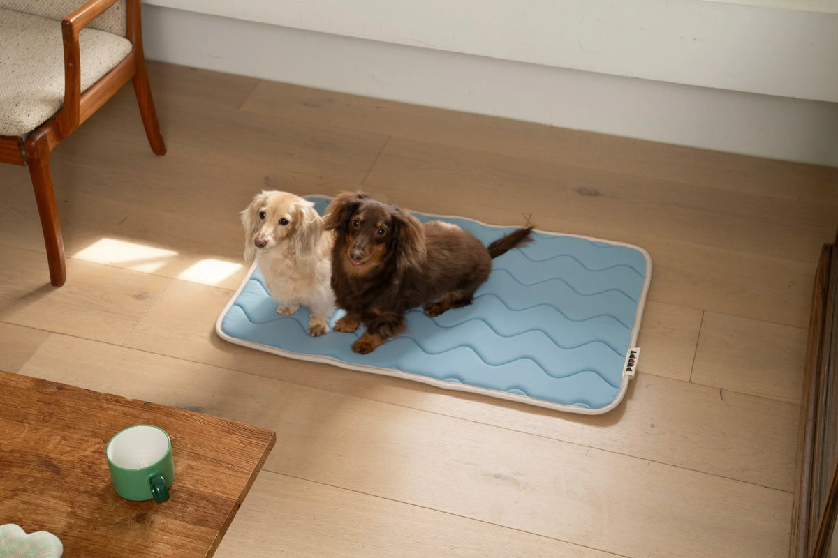 Tapis rafraichissant bleu - Puppy Gallery
