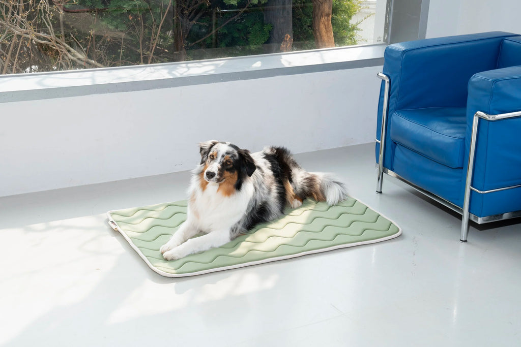 Tapis rafraichissant bleu - Puppy Gallery