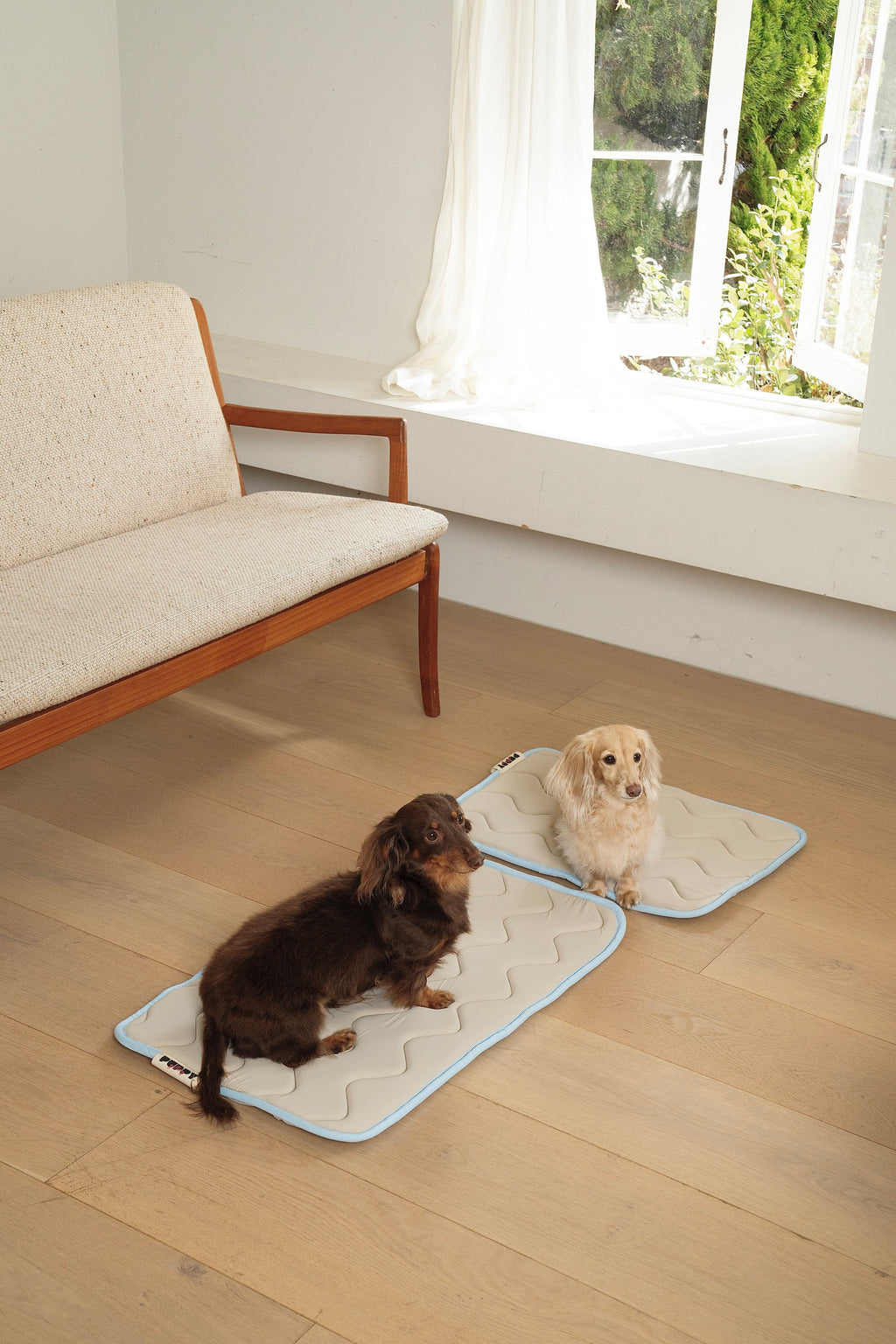 Tapis rafraichissant beige - Puppy Gallery