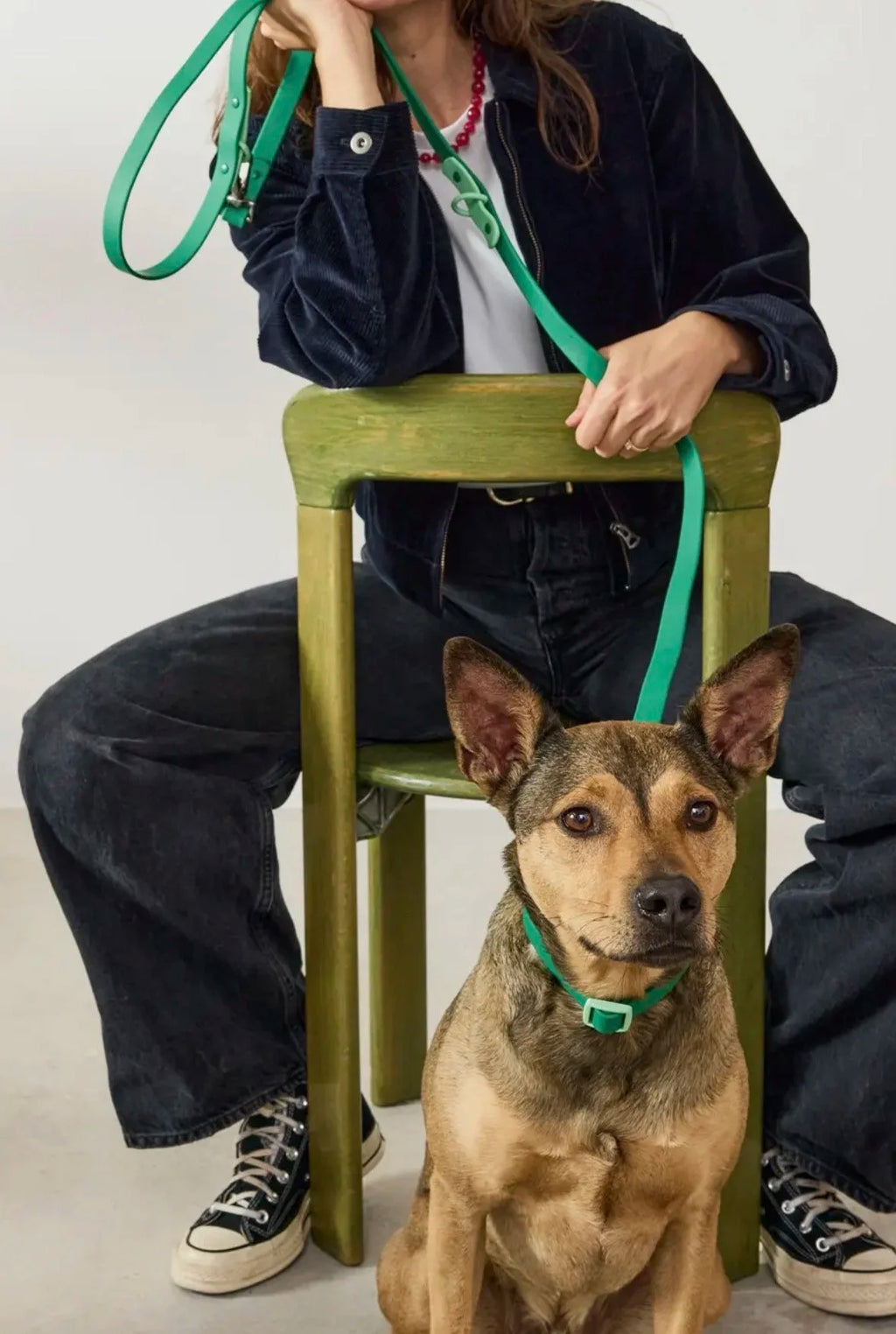 Collier waterproof vert - Fritz