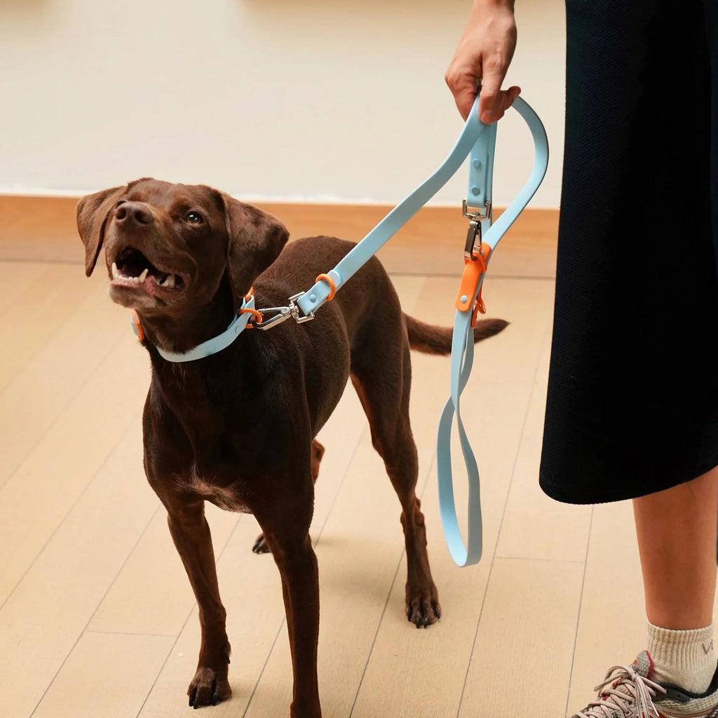 Collier waterproof bleu - Fritz