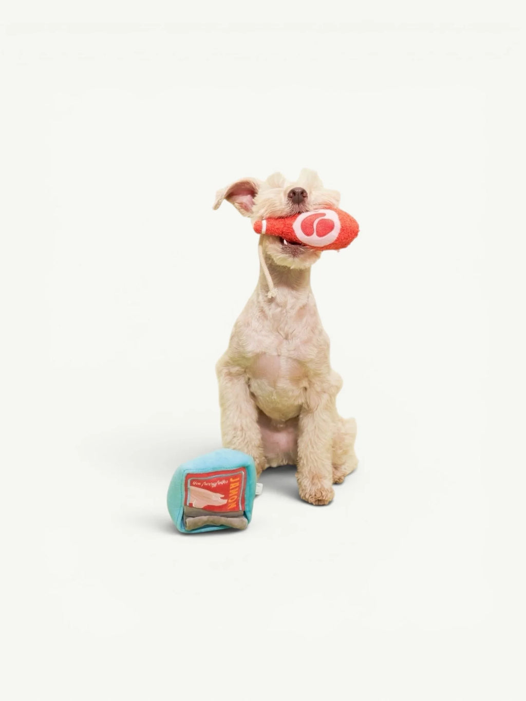 Conserve de Jambon - The Furry Folks