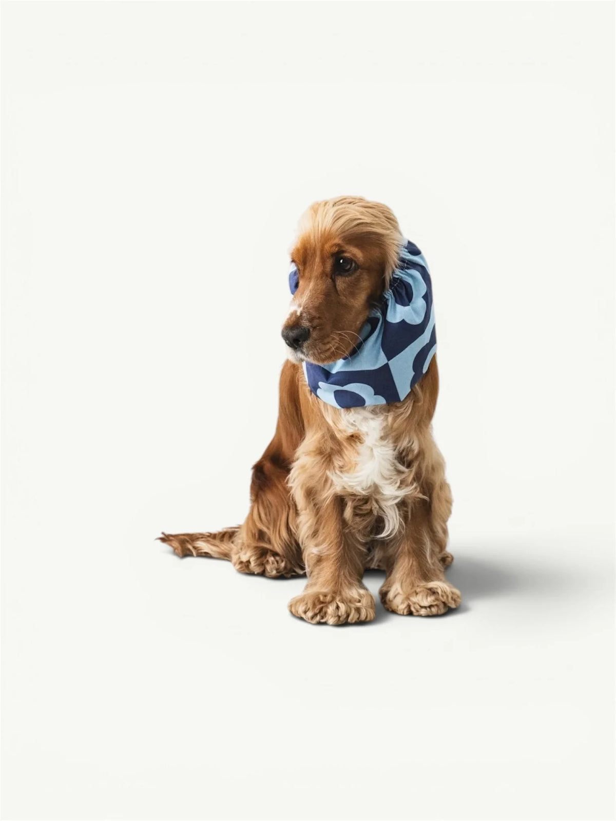 Snood bleu à fleurs  rétro  - Lou and Co