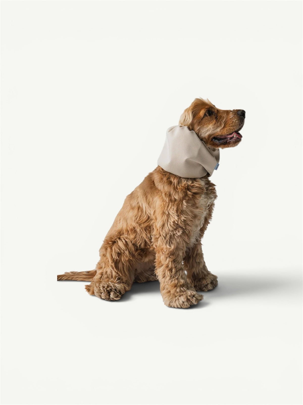 Snood imperméable Beige  - Lou and Co