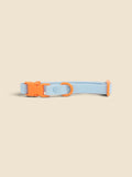 Collier waterproof bleu - Fritz