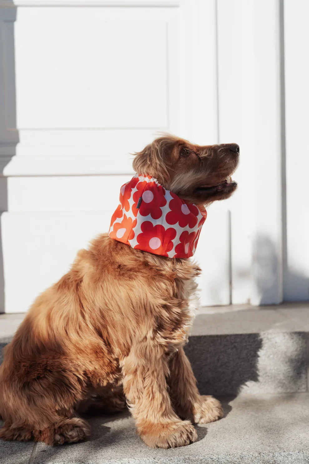 Snood rouge à fleurs  rétro  - Lou and Co